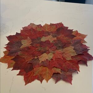 Pier 1 Autumn Leaf Table Mat NWT